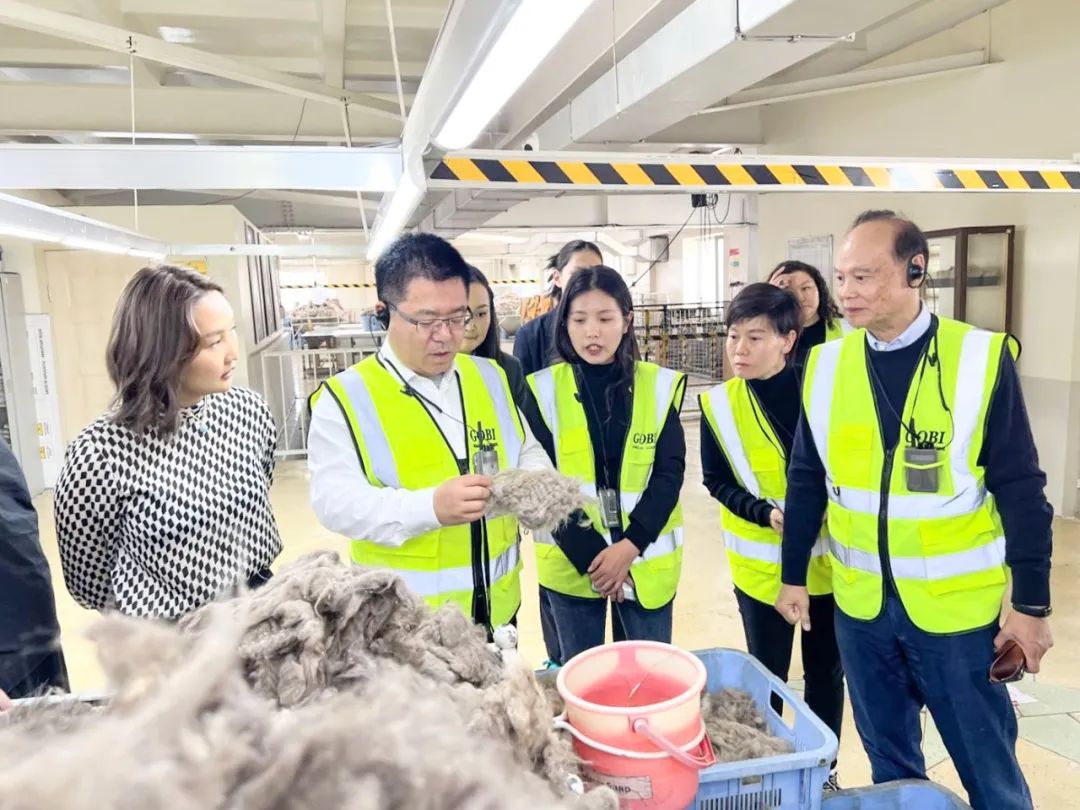 香港六台宝宝典资料大全