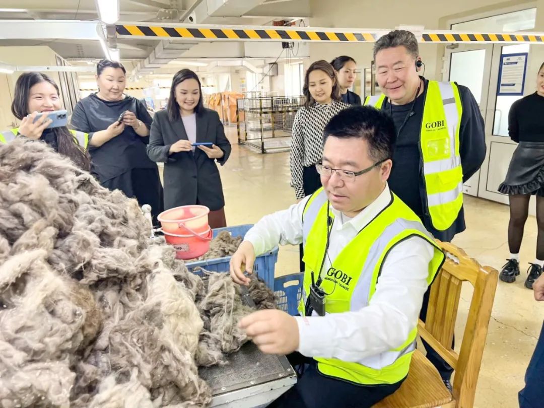 香港六台宝宝典资料大全