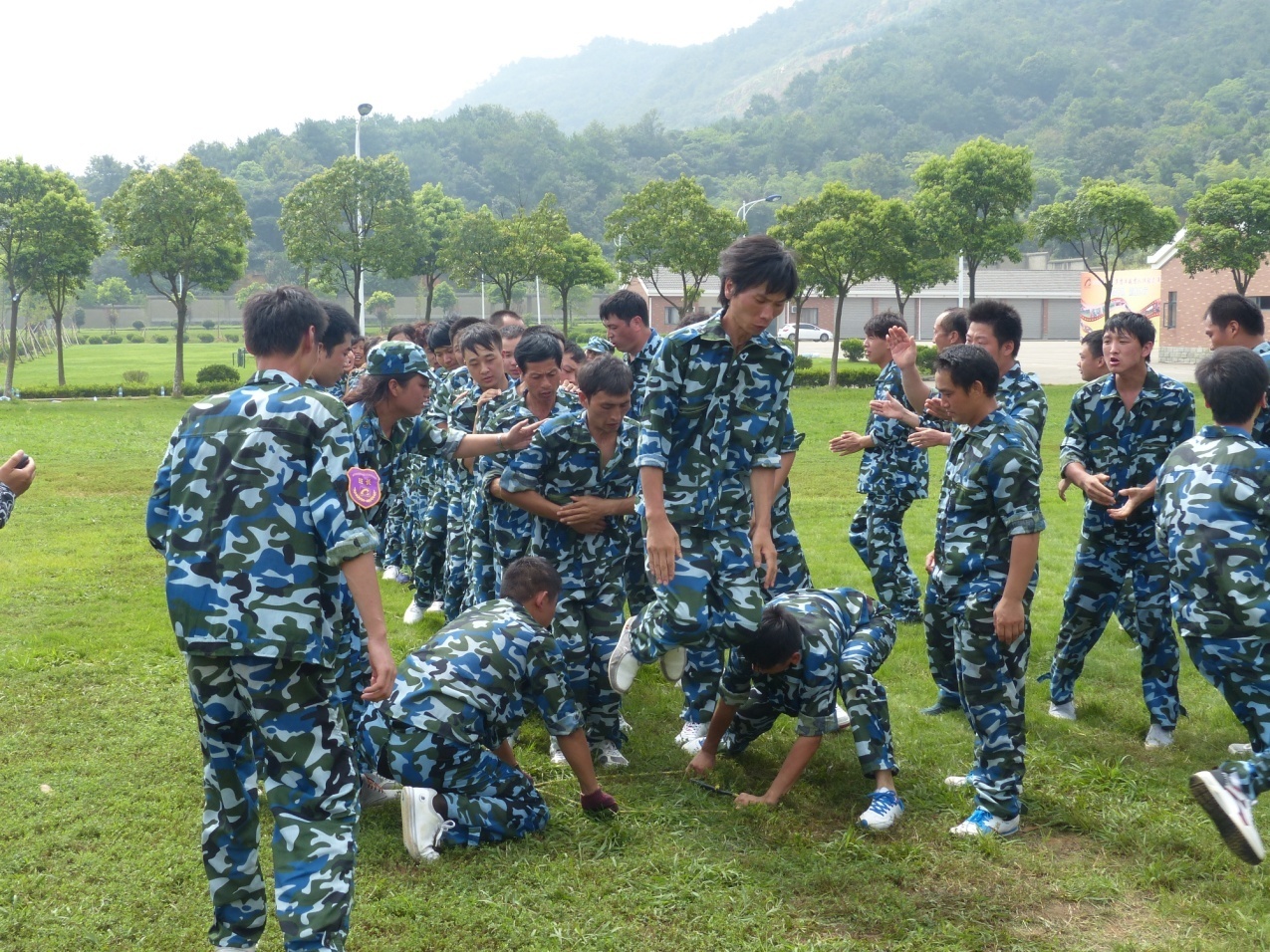 香港六台宝宝典资料大全