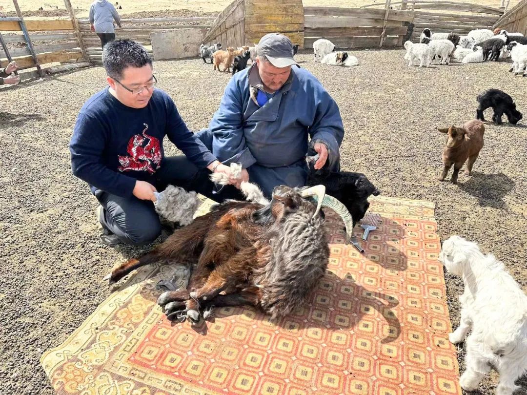 香港六台宝宝典资料大全