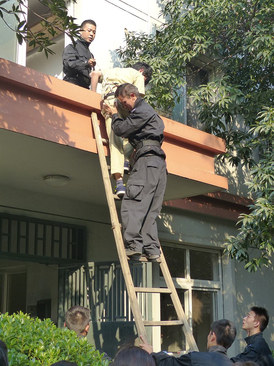 香港六台宝宝典资料大全